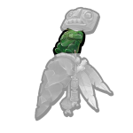 Part of Aztec Dagger