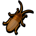 Cockroach