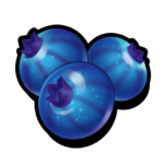 Blaue Beeren