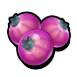 Rosa Beeren