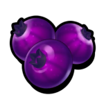 Violette Beeren